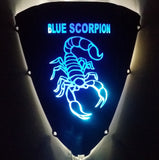 Custom Light Up Windscreens