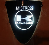 Custom Light Up Windscreens