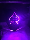 Custom Light Up Windscreens
